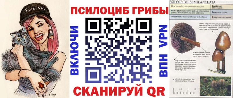 Псилоцибиновые грибы Psilocybine cubensis  блэк спрут рабочий сайт  Шали 
